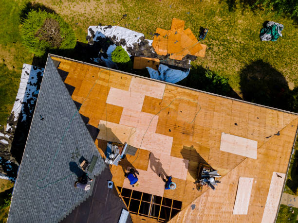 Best Flat Roof Repair Services  in West Samoset, FL