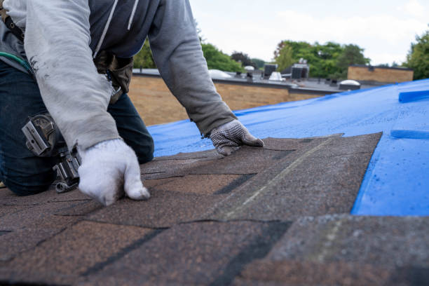 Best Gutter Installation and Roofing  in West Samoset, FL